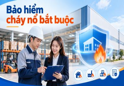 Bảo hiểm cháy nổ bắt buộc là gì? Quyền lợi và lưu ý mới nhất